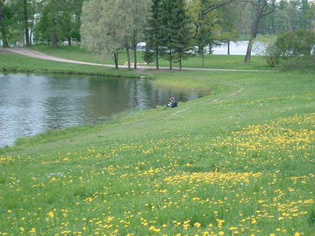 «ö¦¹¦b·sµøµ¡ÂsÄý¹Ï¤ù