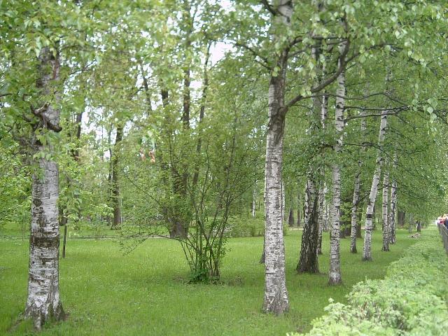 «ö¦¹¦b·sµøµ¡ÂsÄý¹Ï¤ù