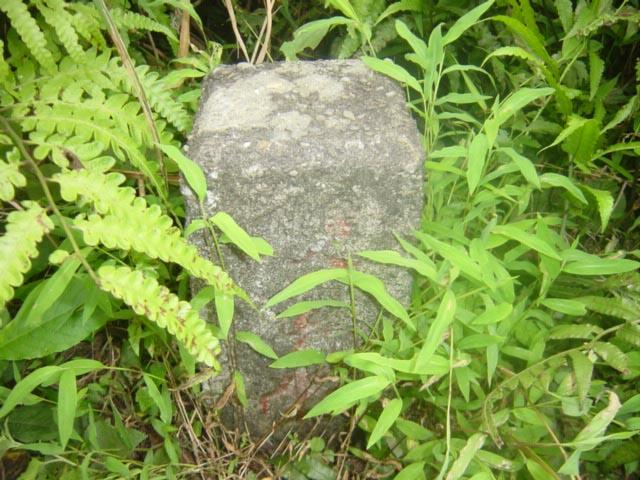 按此在新視窗瀏覽圖片