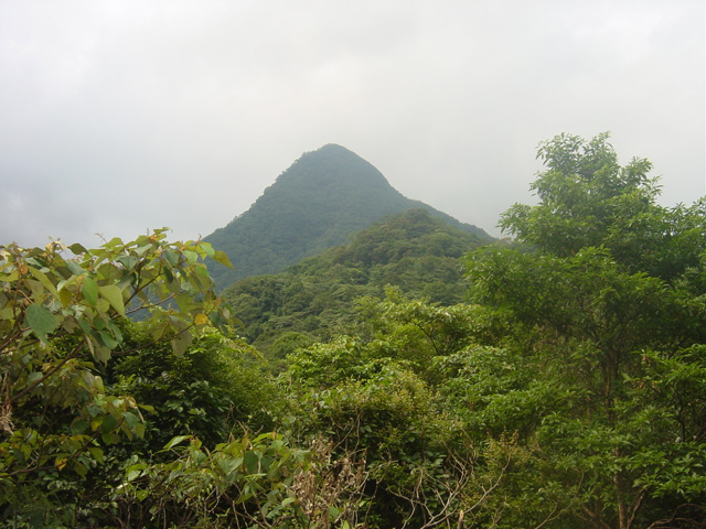 按此在新視窗瀏覽圖片