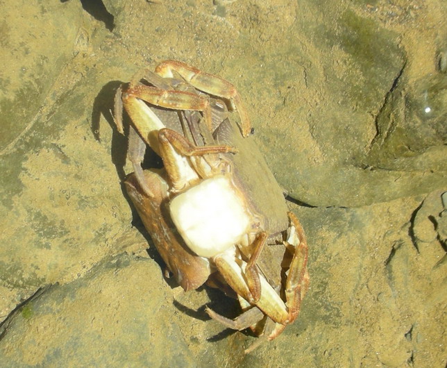 «ö¦¹¦b·sµøµ¡ÂsÄý¹Ï¤ù