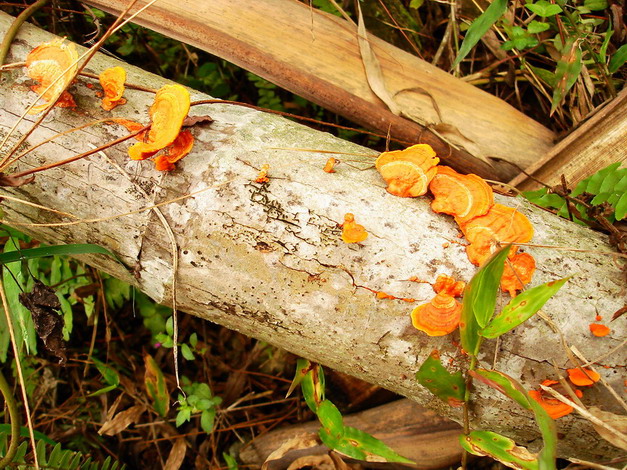 «ö¦¹¦b·sµøµ¡ÂsÄý¹Ï¤ù