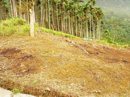 «ö¦¹¦b·sµøµ¡ÂsÄý¹Ï¤ù