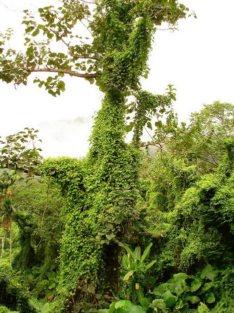 «ö¦¹¦b·sµøµ¡ÂsÄý¹Ï¤ù