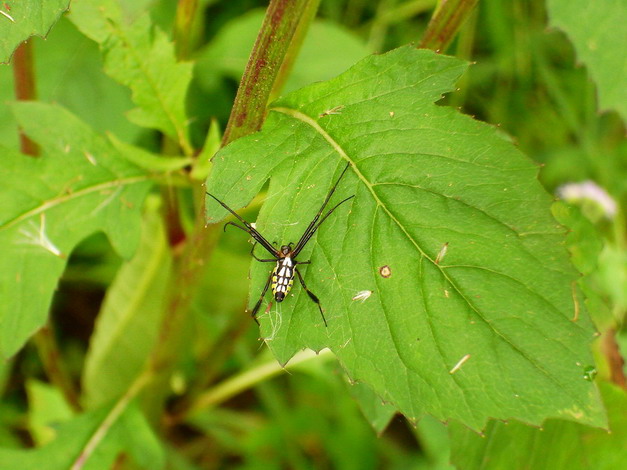 «ö¦¹¦b·sµøµ¡ÂsÄý¹Ï¤ù