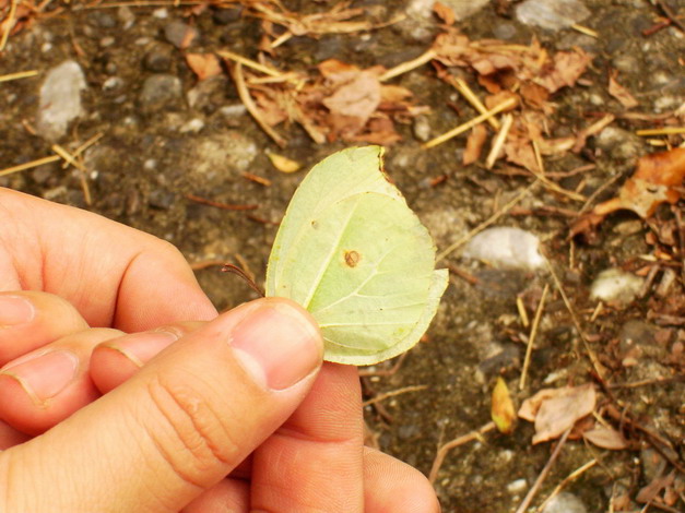 «ö¦¹¦b·sµøµ¡ÂsÄý¹Ï¤ù