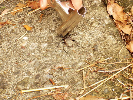 «ö¦¹¦b·sµøµ¡ÂsÄý¹Ï¤ù