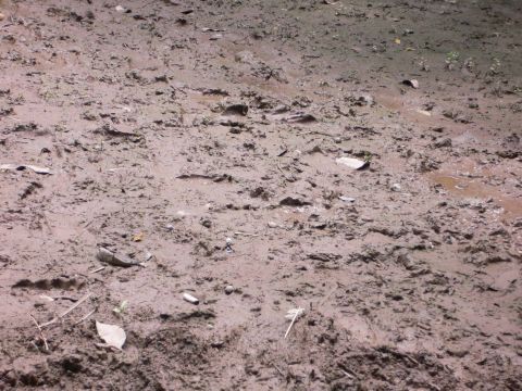 «ö¦¹¦b·sµøµ¡ÂsÄý¹Ï¤ù