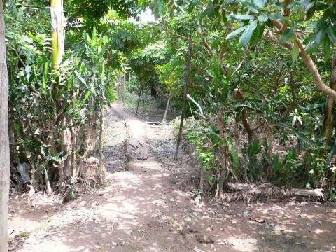 «ö¦¹¦b·sµøµ¡ÂsÄý¹Ï¤ù