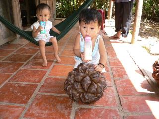 «ö¦¹¦b·sµøµ¡ÂsÄý¹Ï¤ù