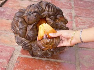 «ö¦¹¦b·sµøµ¡ÂsÄý¹Ï¤ù