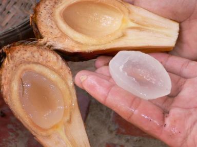 «ö¦¹¦b·sµøµ¡ÂsÄý¹Ï¤ù