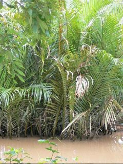 «ö¦¹¦b·sµøµ¡ÂsÄý¹Ï¤ù