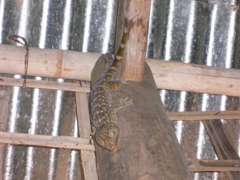 «ö¦¹¦b·sµøµ¡ÂsÄý¹Ï¤ù