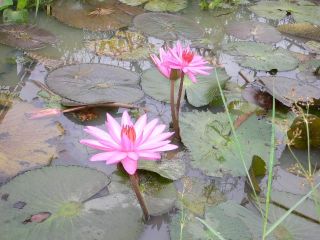 «ö¦¹¦b·sµøµ¡ÂsÄý¹Ï¤ù