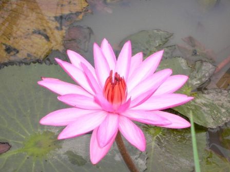 «ö¦¹¦b·sµøµ¡ÂsÄý¹Ï¤ù