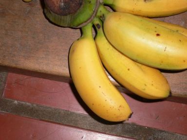 «ö¦¹¦b·sµøµ¡ÂsÄý¹Ï¤ù