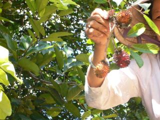 «ö¦¹¦b·sµøµ¡ÂsÄý¹Ï¤ù