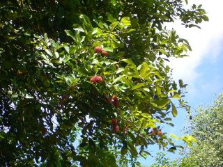 «ö¦¹¦b·sµøµ¡ÂsÄý¹Ï¤ù