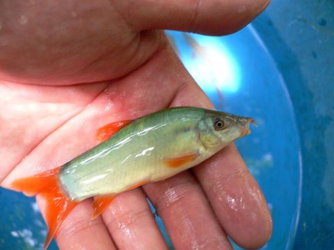 «ö¦¹¦b·sµøµ¡ÂsÄý¹Ï¤ù