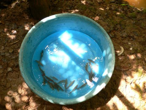 «ö¦¹¦b·sµøµ¡ÂsÄý¹Ï¤ù