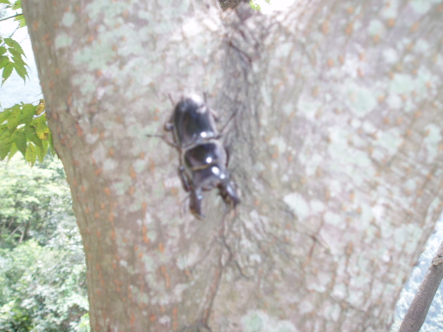 «ö¦¹¦b·sµøµ¡ÂsÄý¹Ï¤ù