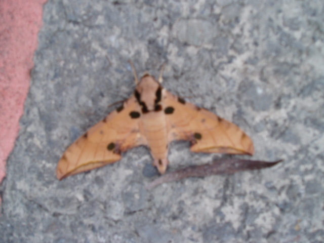 «ö¦¹¦b·sµøµ¡ÂsÄý¹Ï¤ù