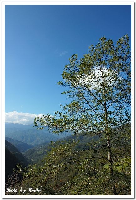 «ö¦¹¦b·sµøµ¡ÂsÄý¹Ï¤ù