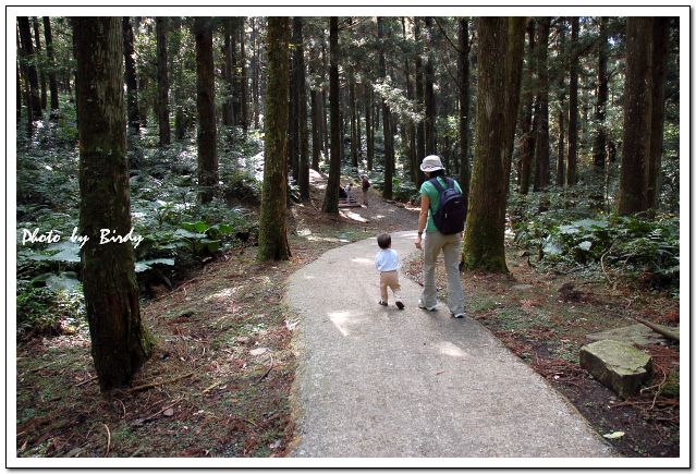 «ö¦¹¦b·sµøµ¡ÂsÄý¹Ï¤ù