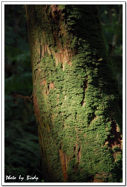 «ö¦¹¦b·sµøµ¡ÂsÄý¹Ï¤ù