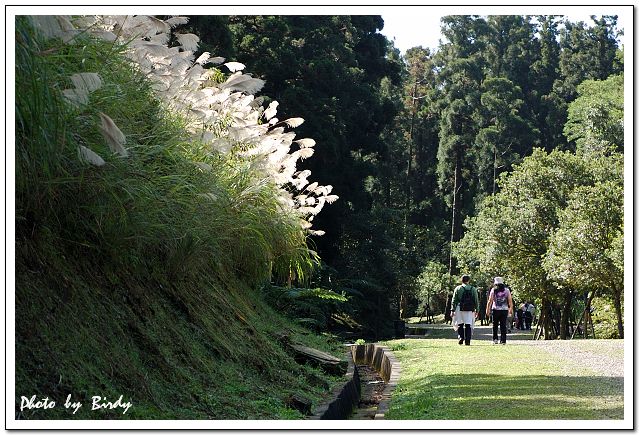 «ö¦¹¦b·sµøµ¡ÂsÄý¹Ï¤ù