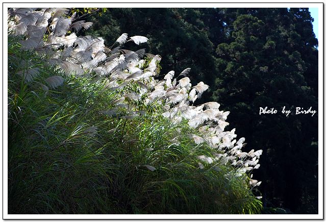 «ö¦¹¦b·sµøµ¡ÂsÄý¹Ï¤ù