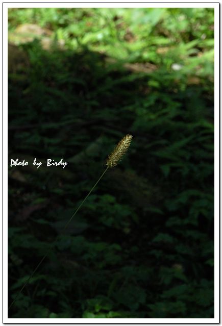 «ö¦¹¦b·sµøµ¡ÂsÄý¹Ï¤ù