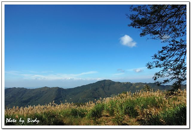 «ö¦¹¦b·sµøµ¡ÂsÄý¹Ï¤ù