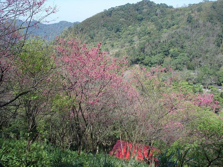 «ö¦¹¦b·sµøµ¡ÂsÄý¹Ï¤ù