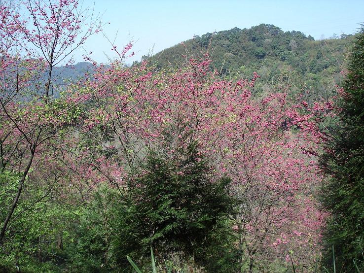 «ö¦¹¦b·sµøµ¡ÂsÄý¹Ï¤ù