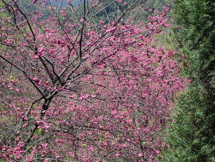 «ö¦¹¦b·sµøµ¡ÂsÄý¹Ï¤ù