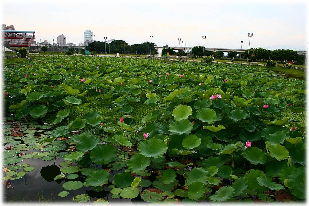 «ö¦¹¦b·sµøµ¡ÂsÄý¹Ï¤ù