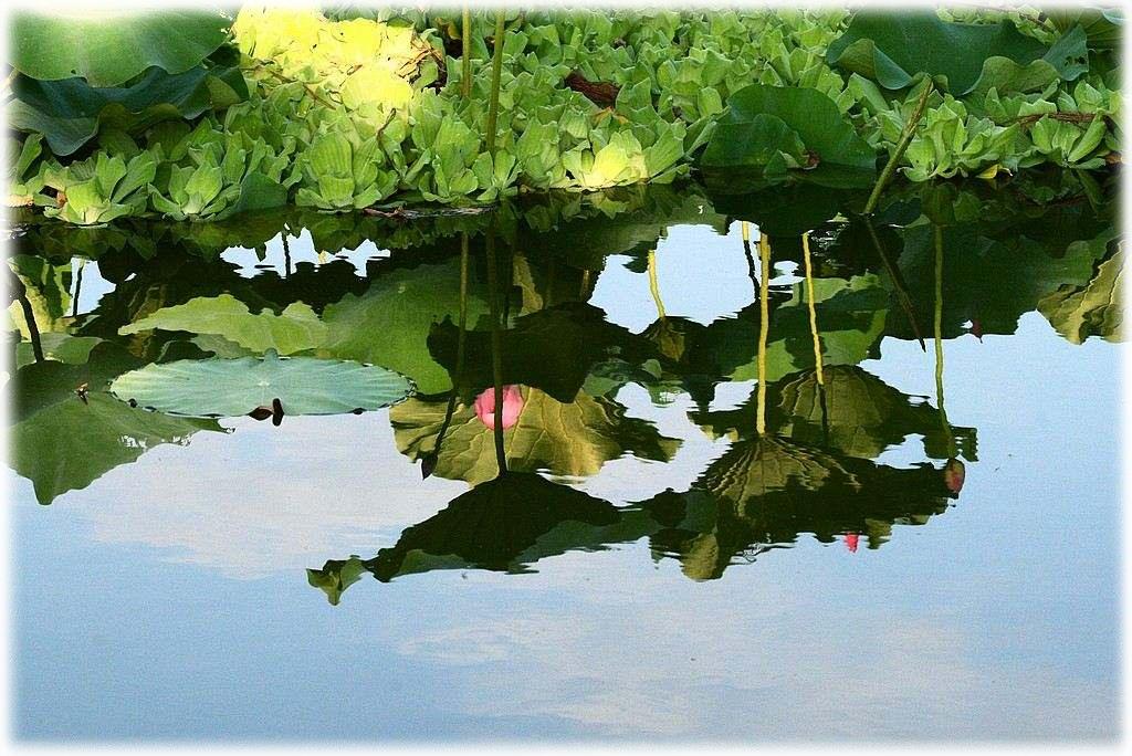 «ö¦¹¦b·sµøµ¡ÂsÄý¹Ï¤ù