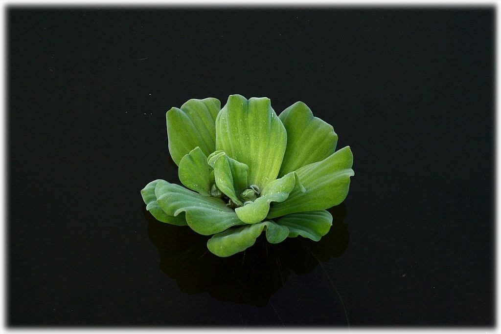 «ö¦¹¦b·sµøµ¡ÂsÄý¹Ï¤ù