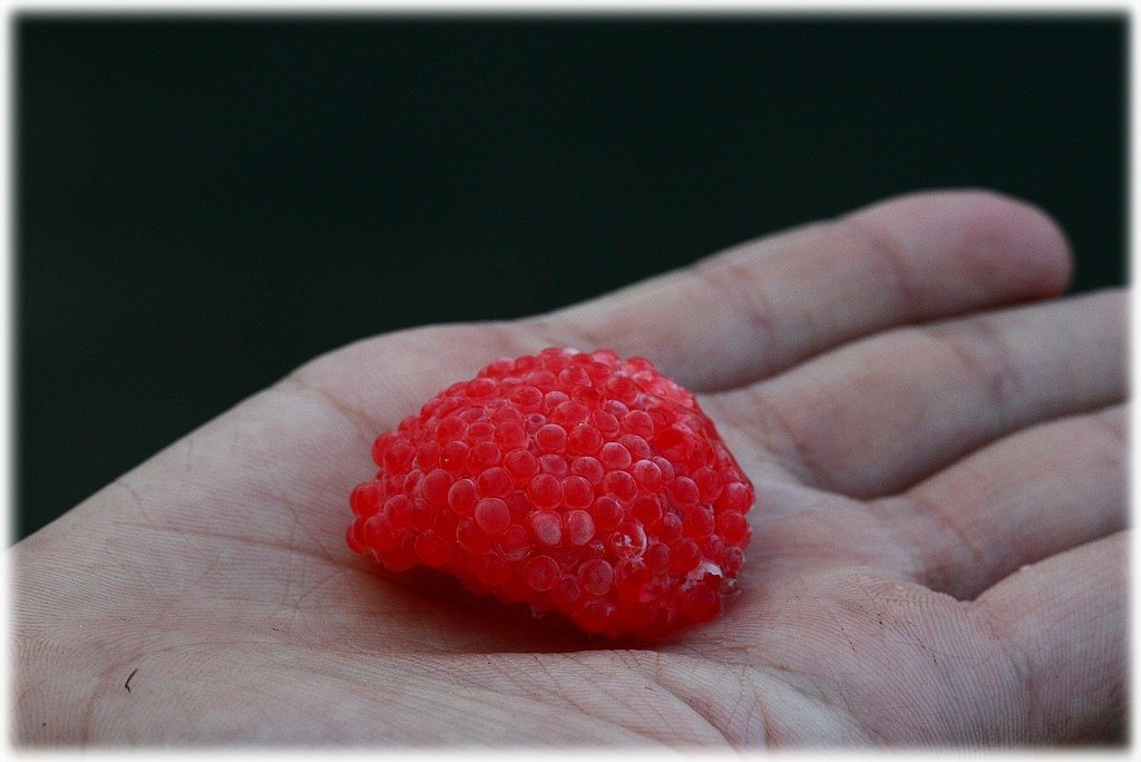 «ö¦¹¦b·sµøµ¡ÂsÄý¹Ï¤ù