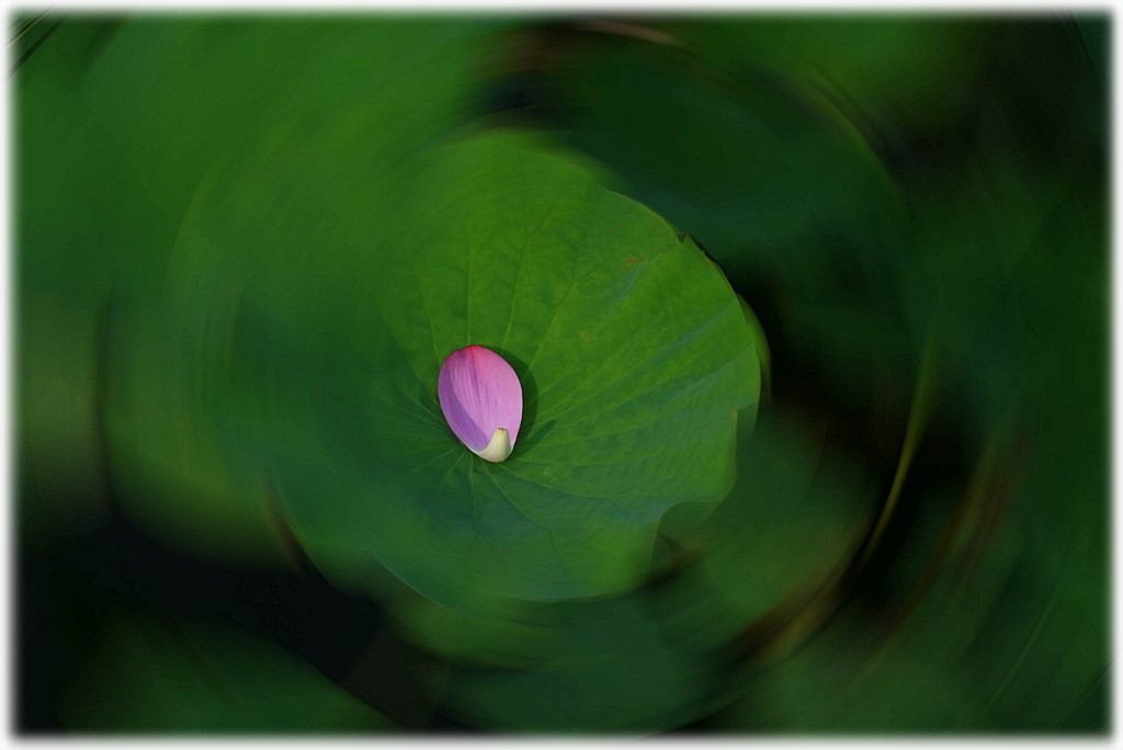 «ö¦¹¦b·sµøµ¡ÂsÄý¹Ï¤ù