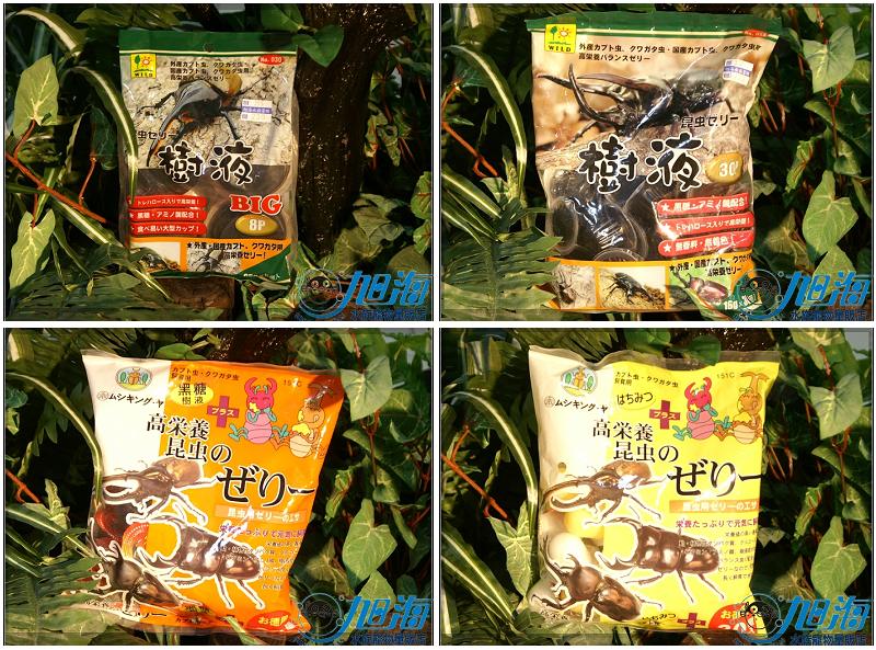 按此在新視窗瀏覽圖片