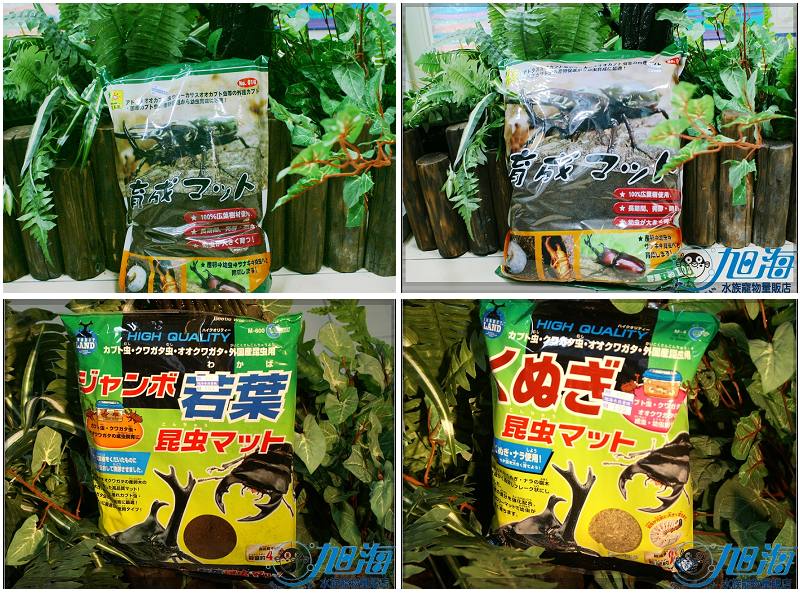 按此在新視窗瀏覽圖片