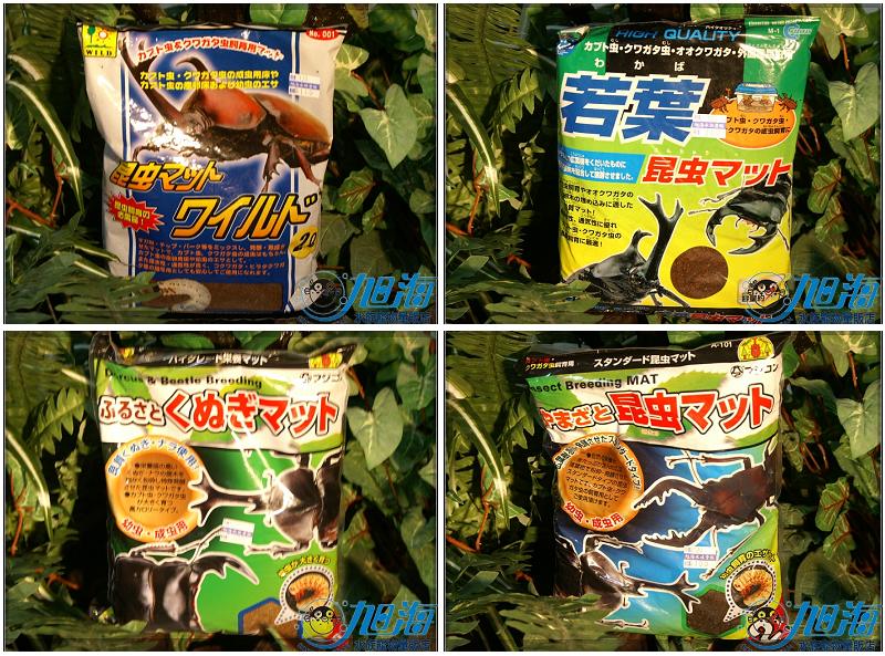 按此在新視窗瀏覽圖片