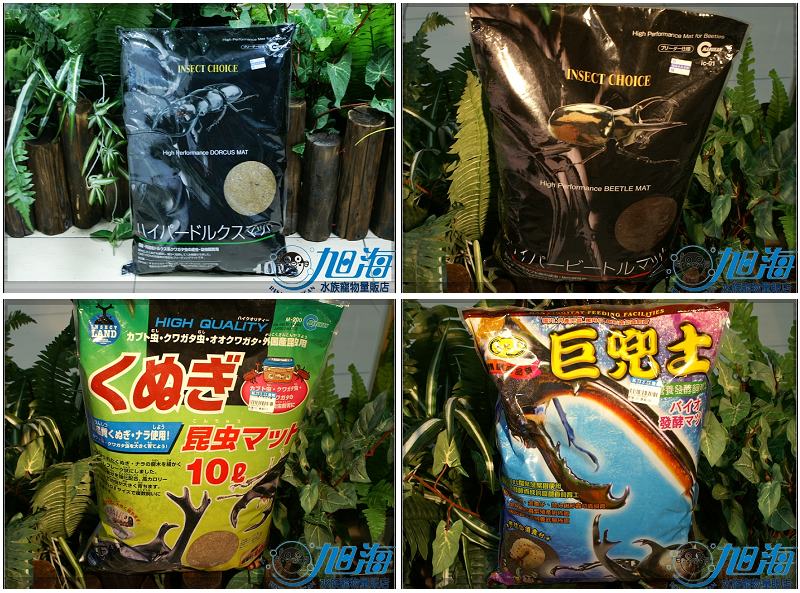 按此在新視窗瀏覽圖片