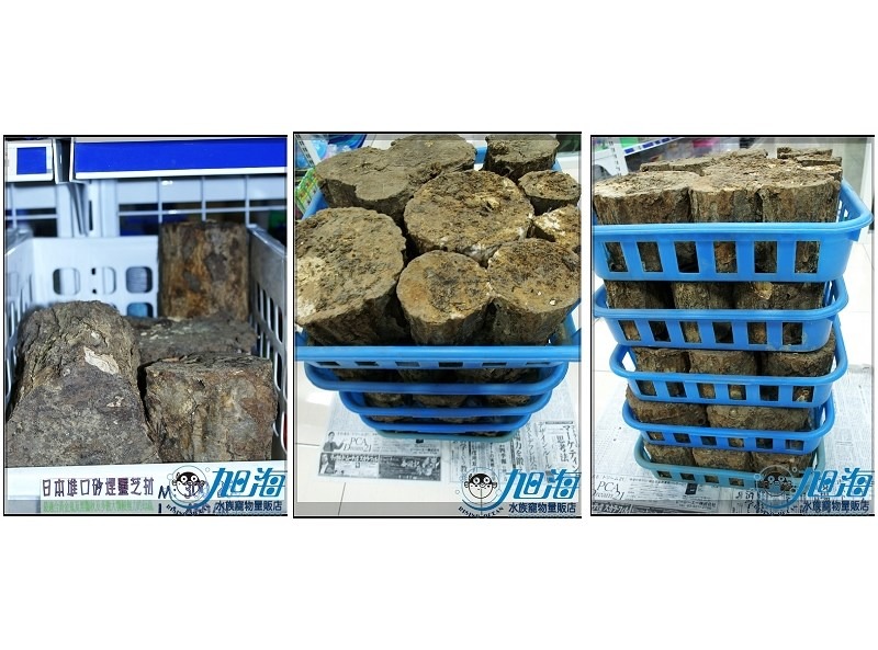 «ö¦¹¦b·sµøµ¡ÂsÄý¹Ï¤ù