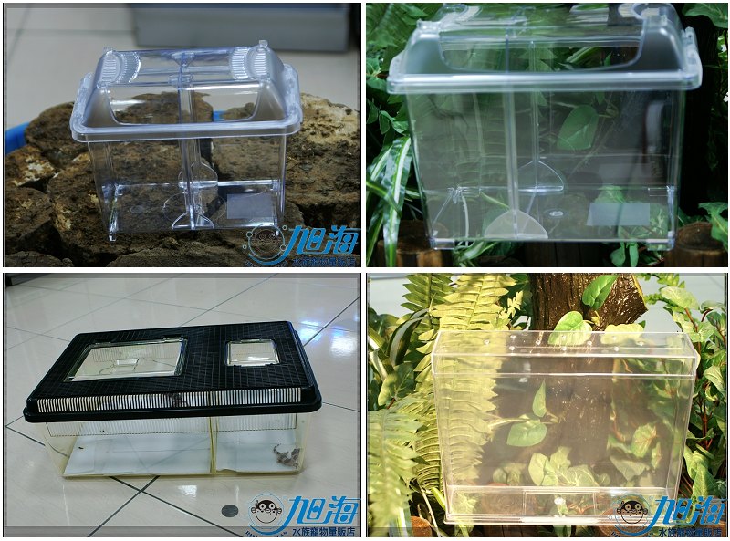 «ö¦¹¦b·sµøµ¡ÂsÄý¹Ï¤ù