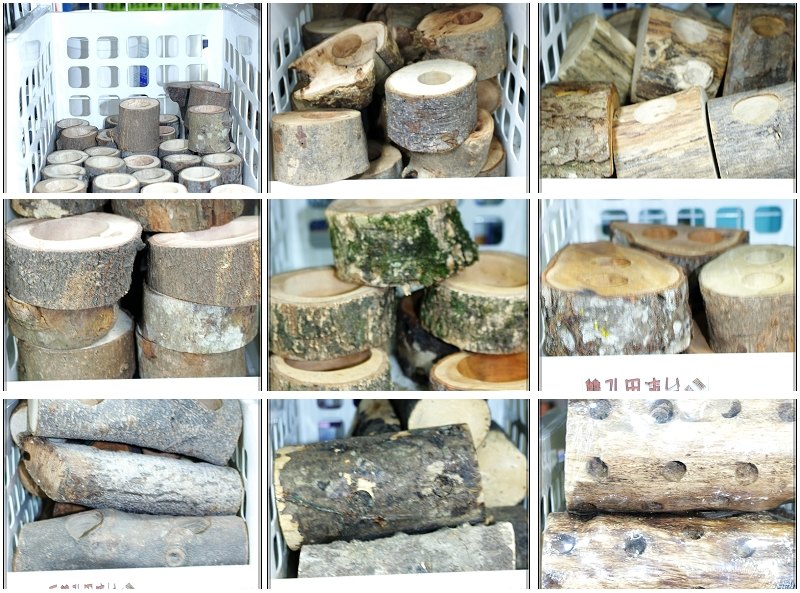 «ö¦¹¦b·sµøµ¡ÂsÄý¹Ï¤ù