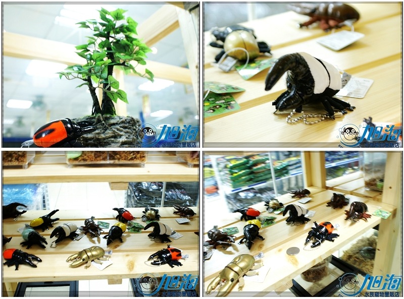 «ö¦¹¦b·sµøµ¡ÂsÄý¹Ï¤ù